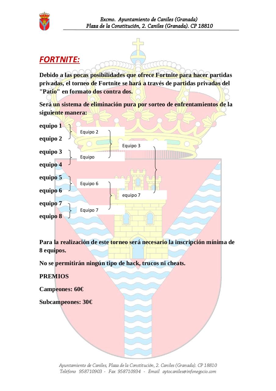 Vista previa del archivo PDF bases-lan-party-2019.pdf