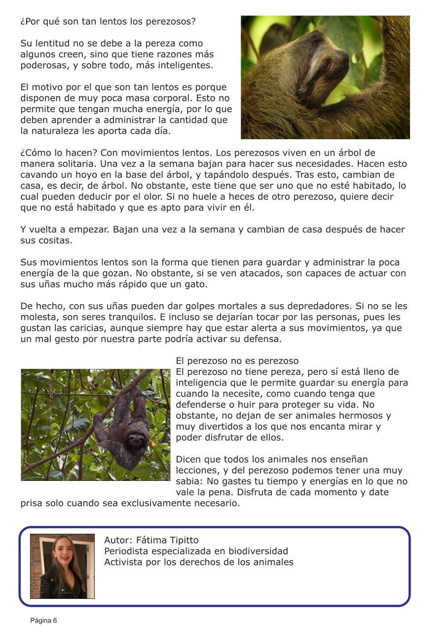 Vista previa del archivo PDF revista-eco-logica.pdf
