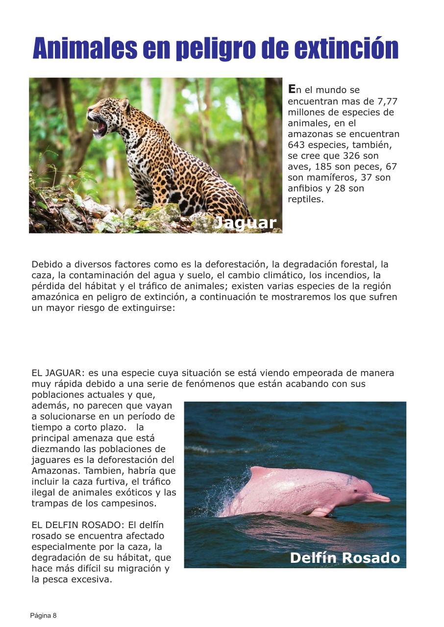 Vista previa del archivo PDF revista-eco-logica.pdf