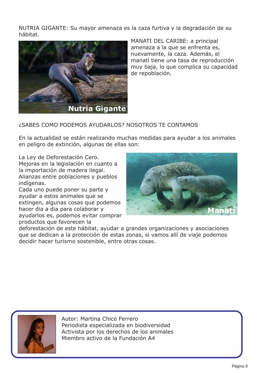 Vista previa del archivo PDF revista-eco-logica.pdf