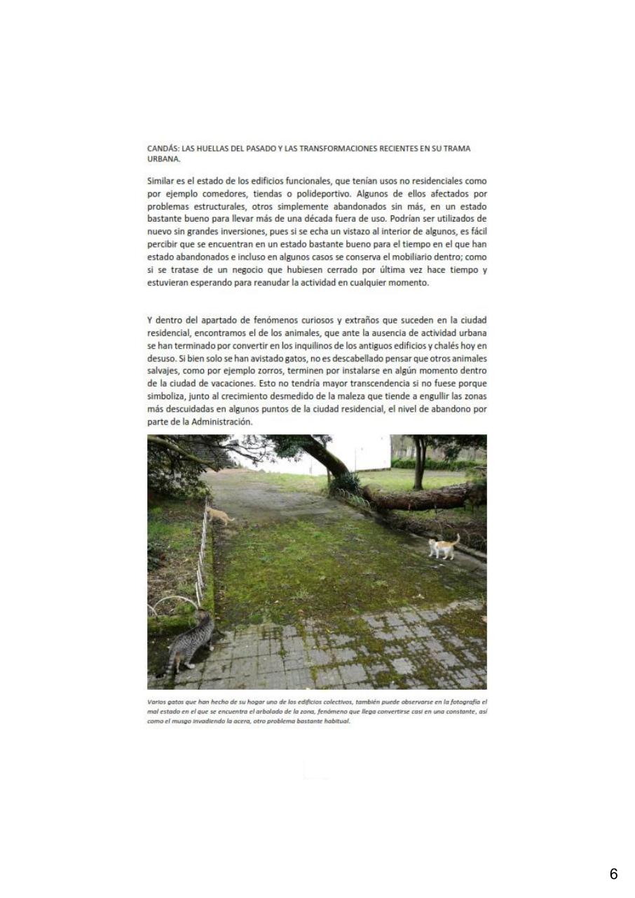 Vista previa del archivo PDF revista-numero-13-cands-en-la-memoria.pdf