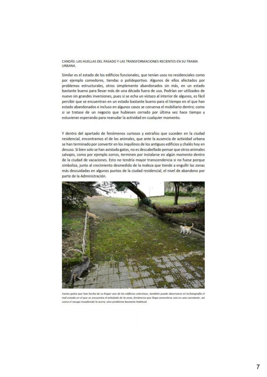 Vista previa del archivo PDF revista-numero-13-cands-en-la-memoria.pdf