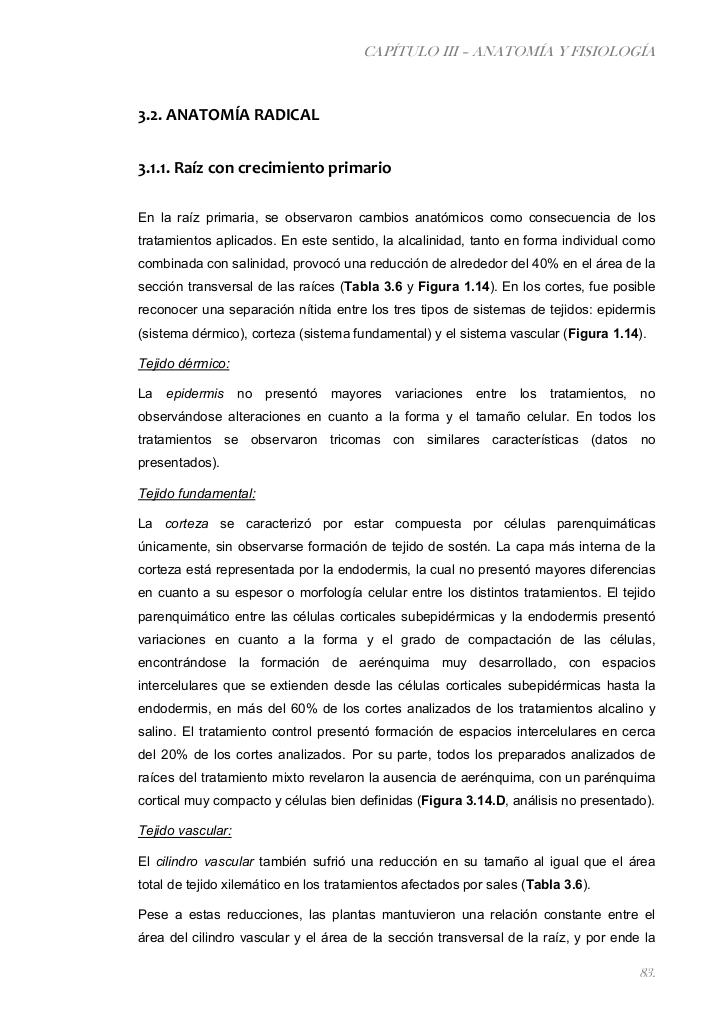 Vista previa del archivo PDF paz-rosalia---tesis-doctoral.pdf