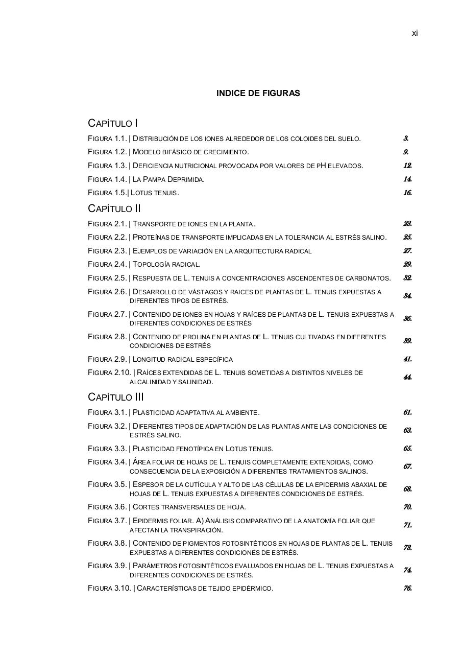 Vista previa del archivo PDF paz-rosalia---tesis-doctoral.pdf