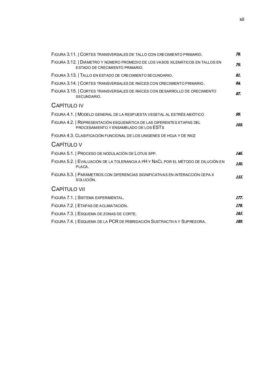 Vista previa del archivo PDF paz-rosalia---tesis-doctoral.pdf