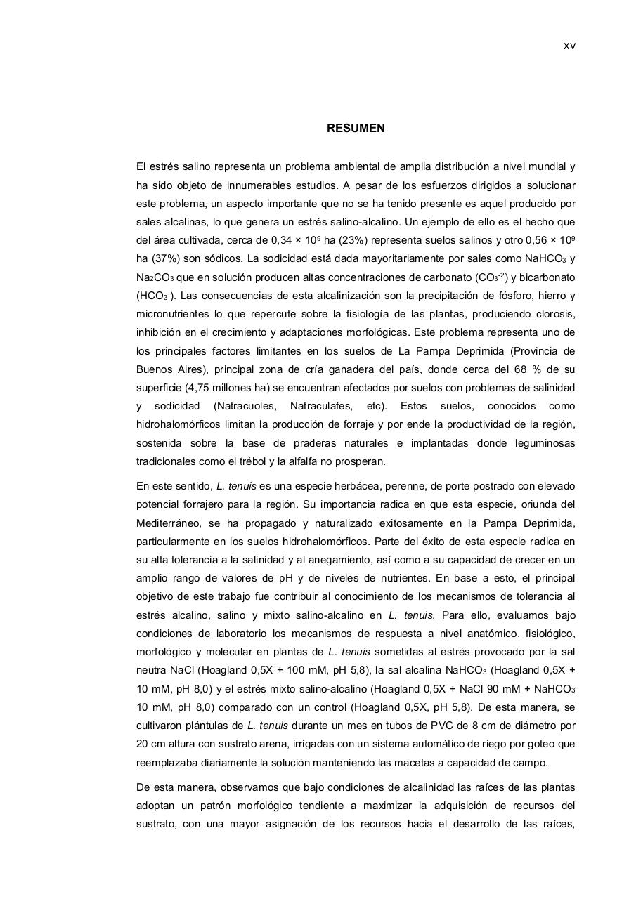 Vista previa del archivo PDF paz-rosalia---tesis-doctoral.pdf