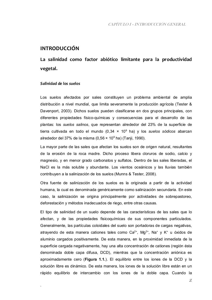 Vista previa del archivo PDF paz-rosalia---tesis-doctoral.pdf