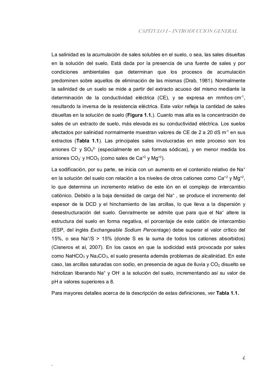 Vista previa del archivo PDF paz-rosalia---tesis-doctoral.pdf