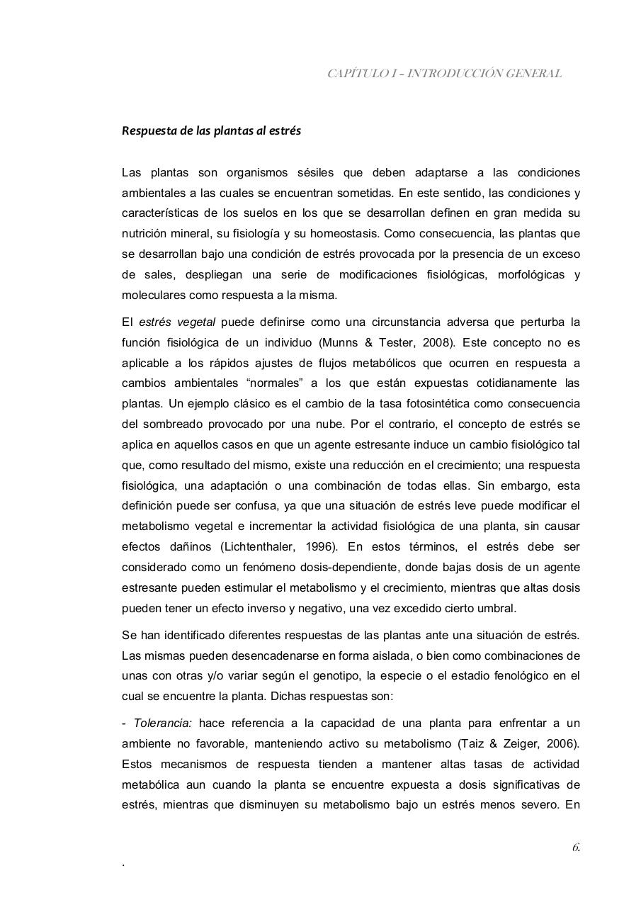 Vista previa del archivo PDF paz-rosalia---tesis-doctoral.pdf