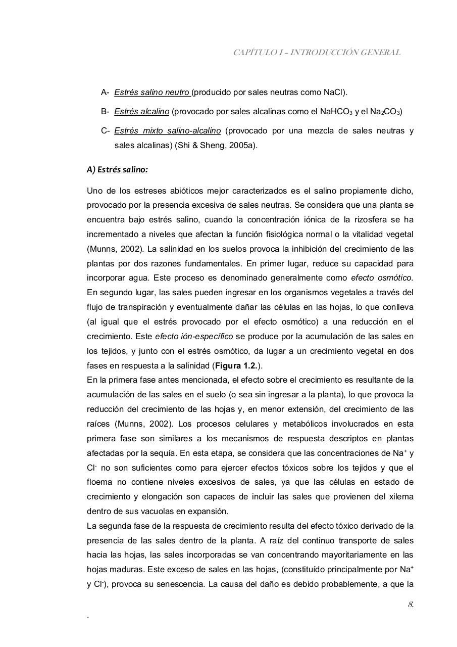 Vista previa del archivo PDF paz-rosalia---tesis-doctoral.pdf