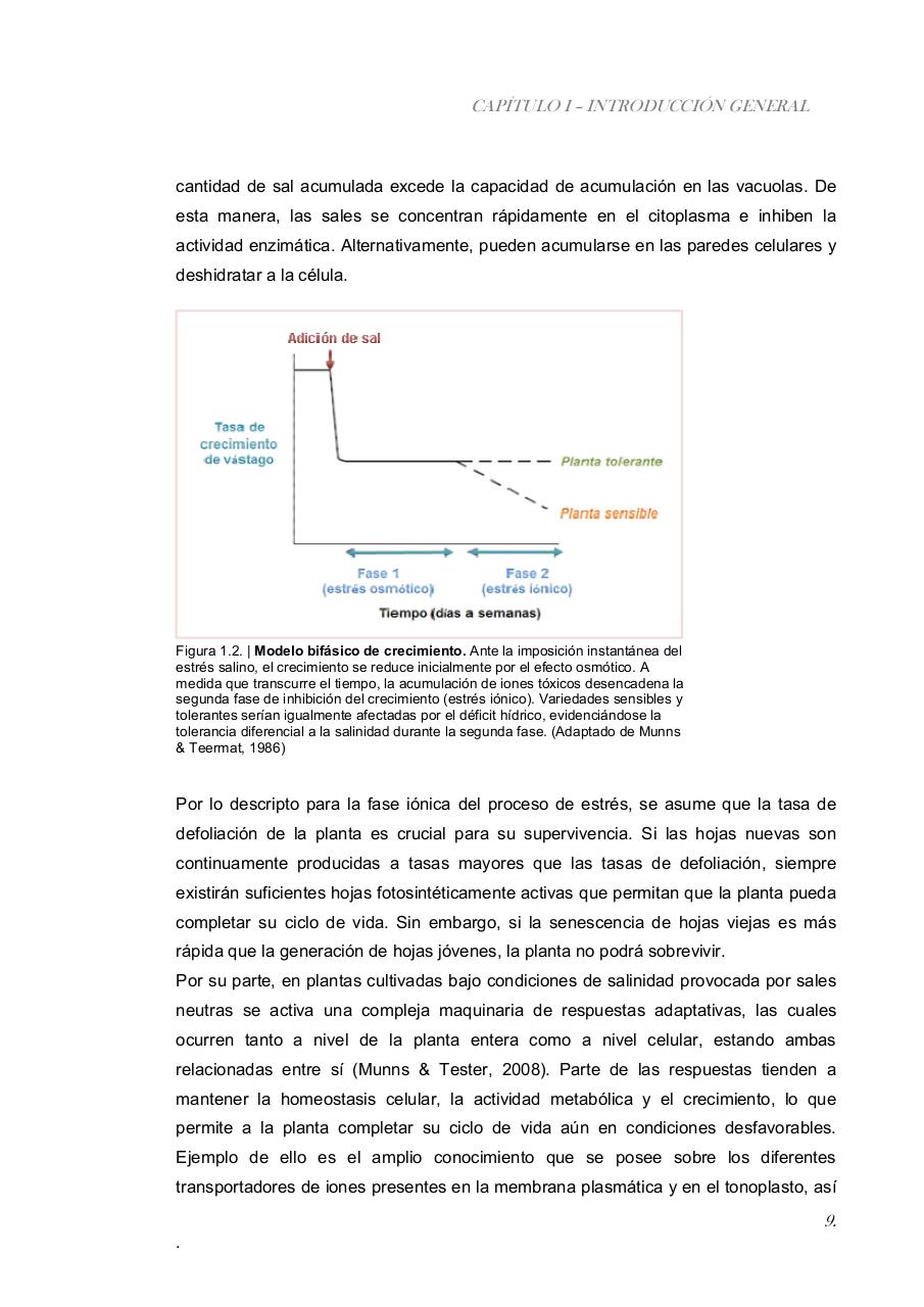 Vista previa del archivo PDF paz-rosalia---tesis-doctoral.pdf