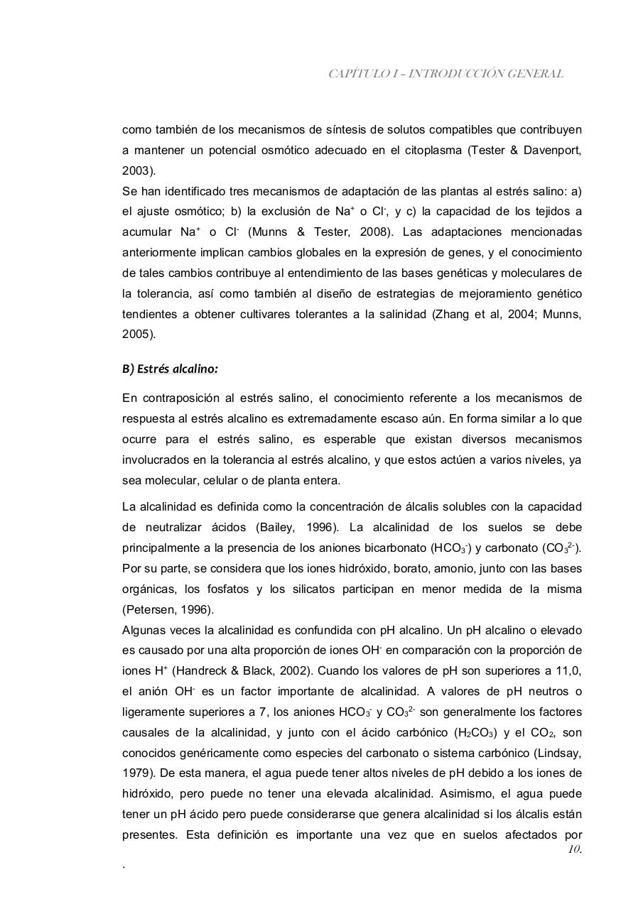 Vista previa del archivo PDF paz-rosalia---tesis-doctoral.pdf