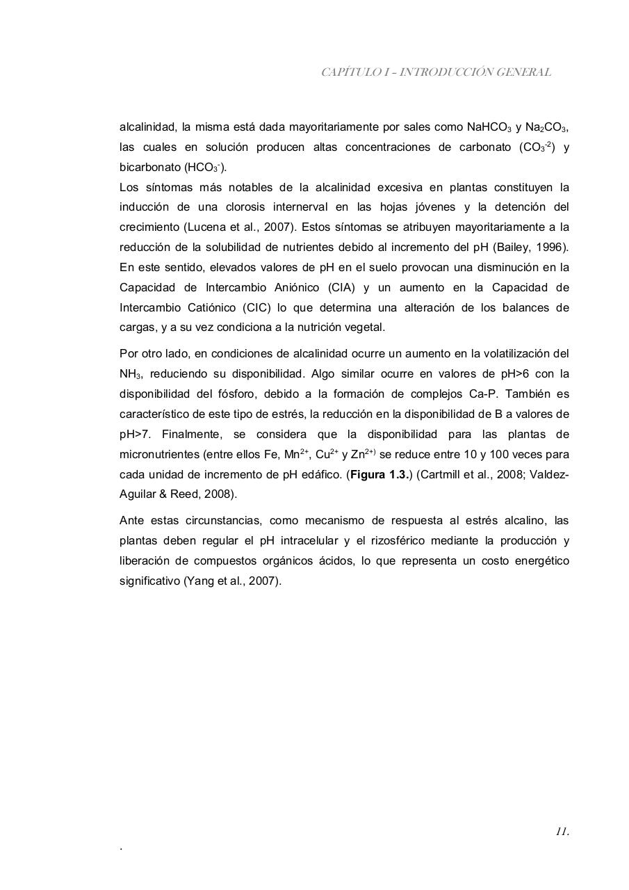 Vista previa del archivo PDF paz-rosalia---tesis-doctoral.pdf