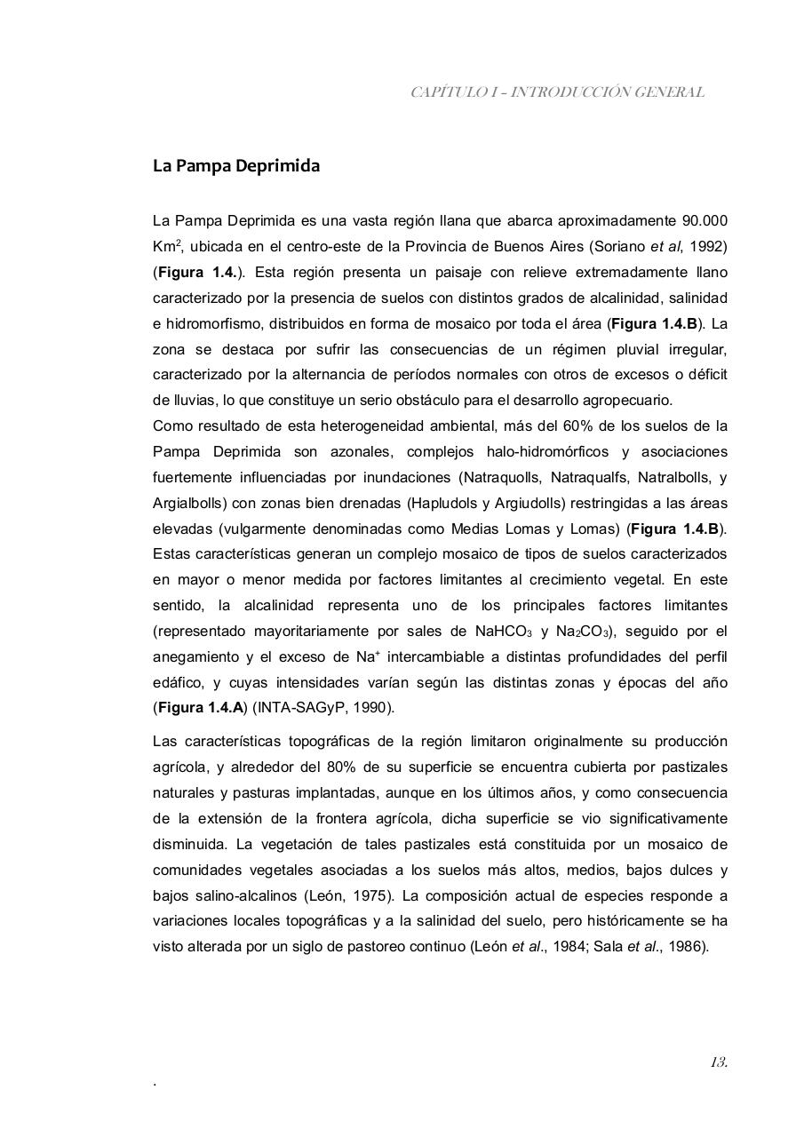 Vista previa del archivo PDF paz-rosalia---tesis-doctoral.pdf