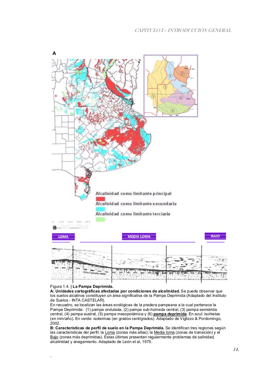 Vista previa del archivo PDF paz-rosalia---tesis-doctoral.pdf