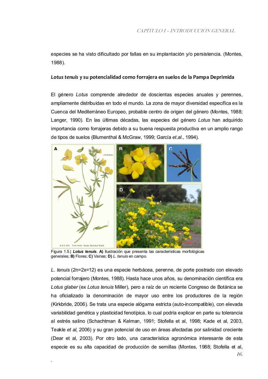 Vista previa del archivo PDF paz-rosalia---tesis-doctoral.pdf