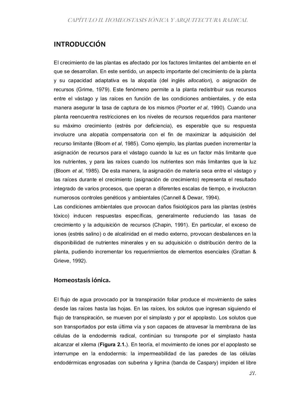 Vista previa del archivo PDF paz-rosalia---tesis-doctoral.pdf