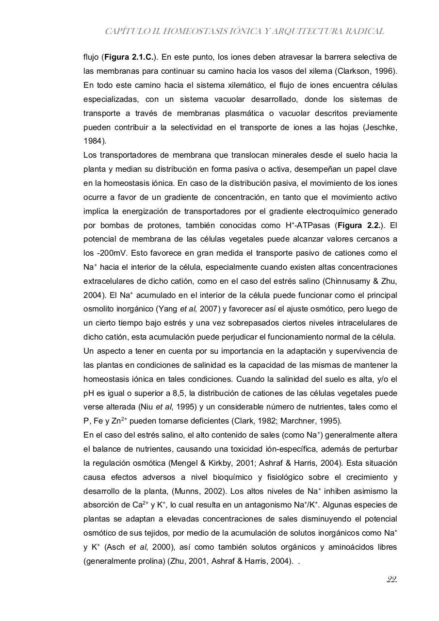 Vista previa del archivo PDF paz-rosalia---tesis-doctoral.pdf