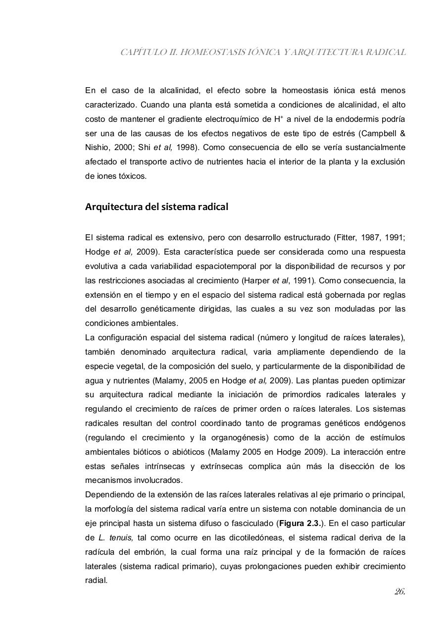 Vista previa del archivo PDF paz-rosalia---tesis-doctoral.pdf