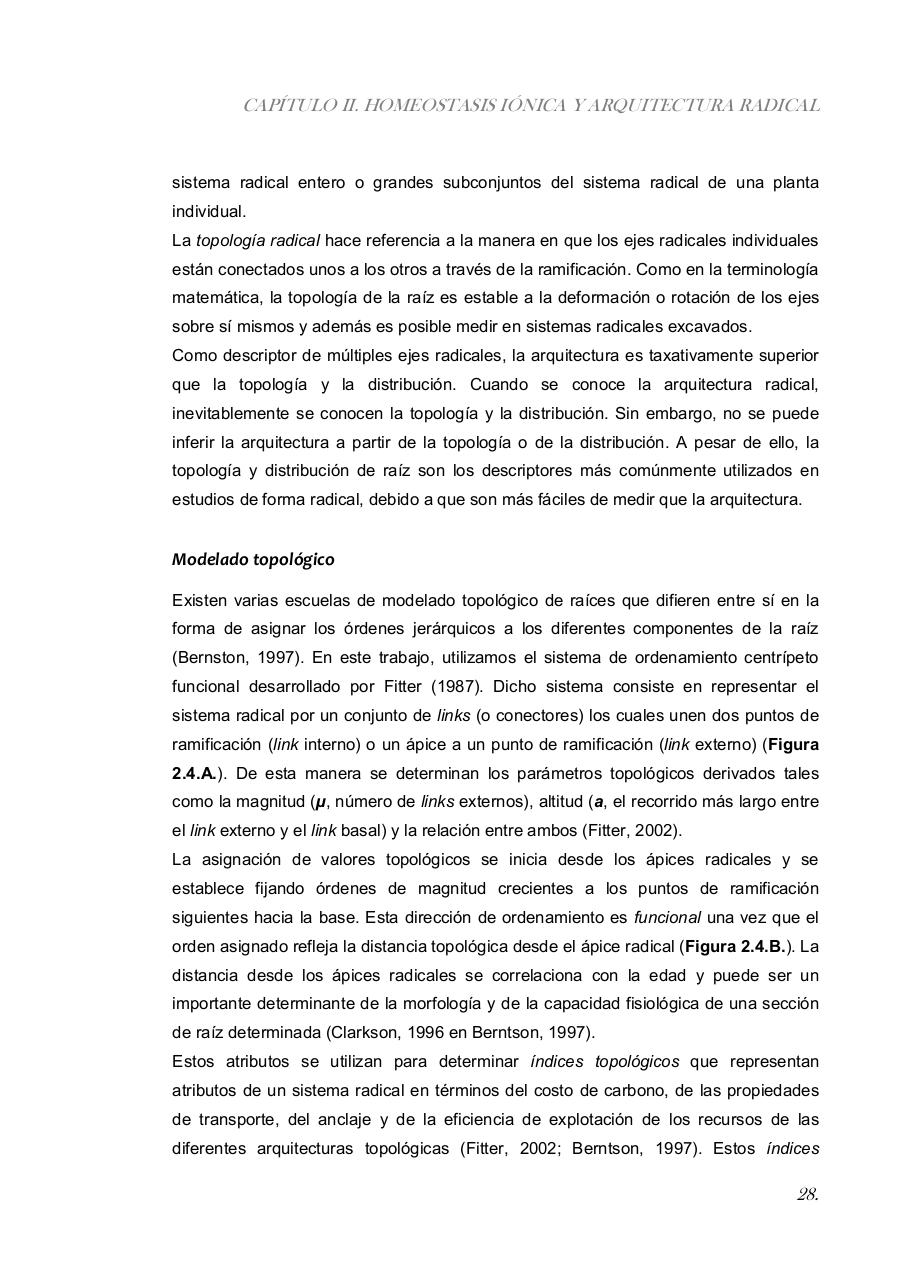 Vista previa del archivo PDF paz-rosalia---tesis-doctoral.pdf