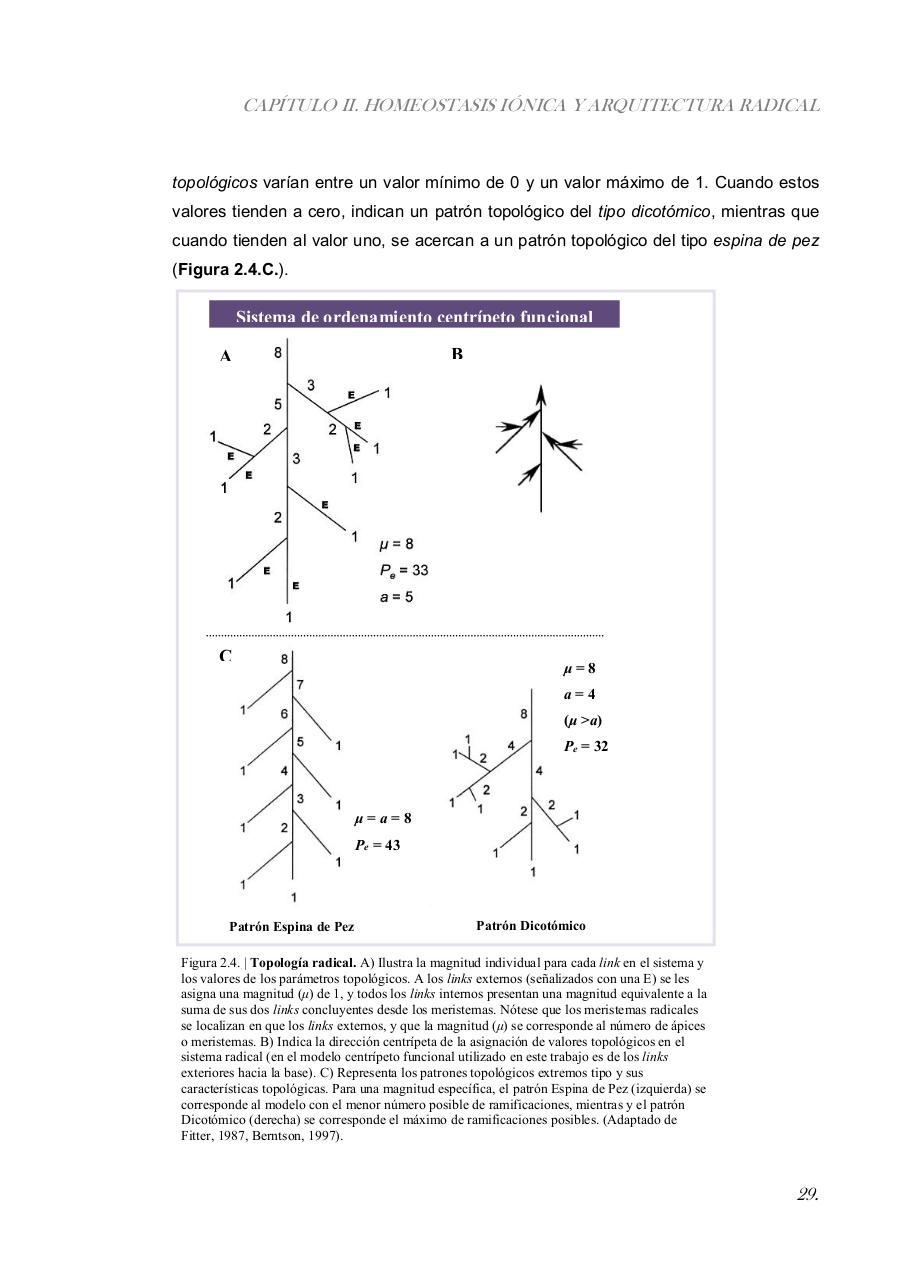 Vista previa del archivo PDF paz-rosalia---tesis-doctoral.pdf