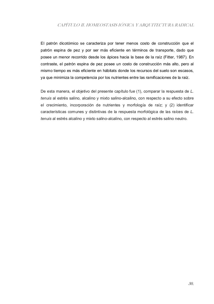 Vista previa del archivo PDF paz-rosalia---tesis-doctoral.pdf