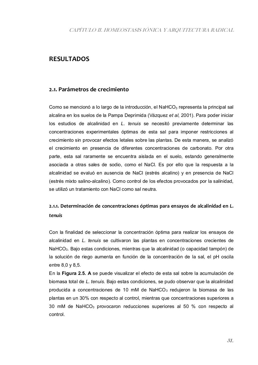 Vista previa del archivo PDF paz-rosalia---tesis-doctoral.pdf