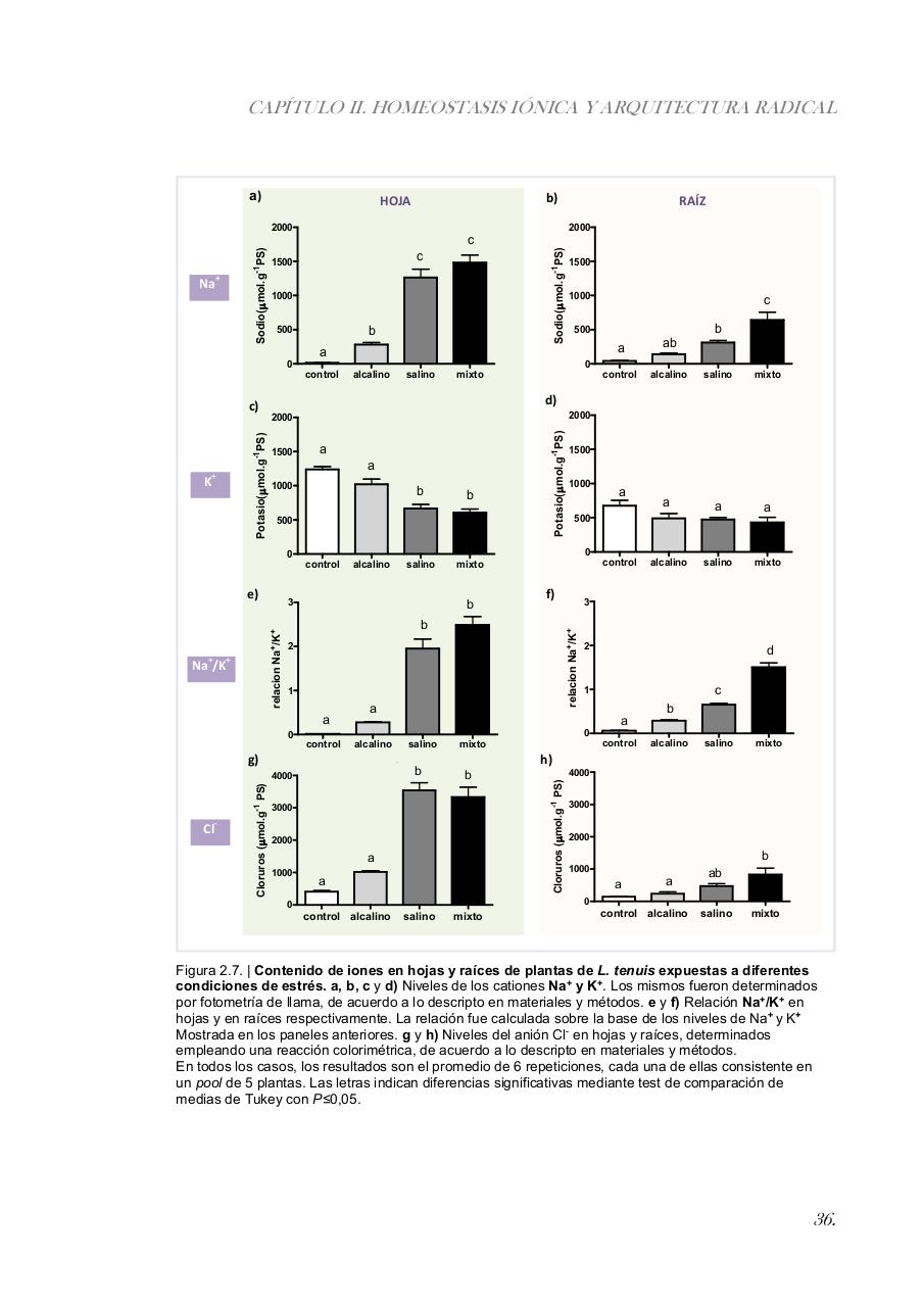 Vista previa del archivo PDF paz-rosalia---tesis-doctoral.pdf