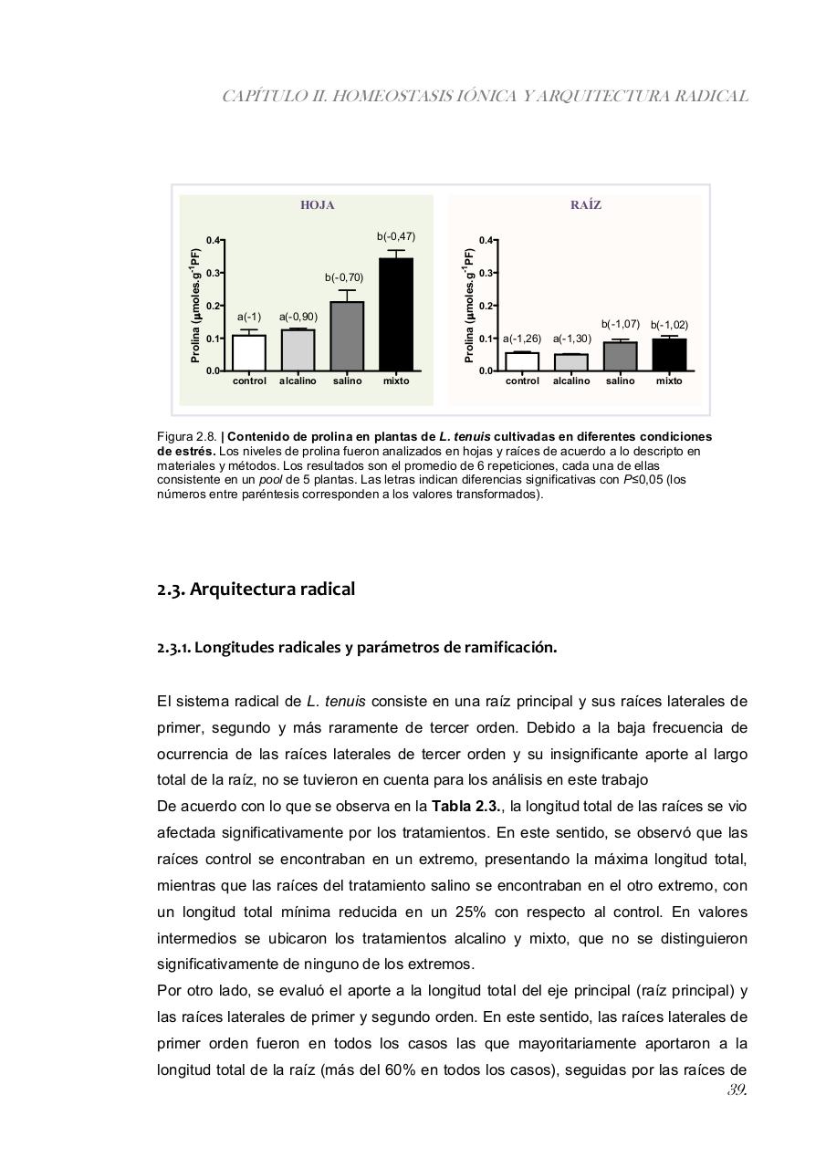 Vista previa del archivo PDF paz-rosalia---tesis-doctoral.pdf