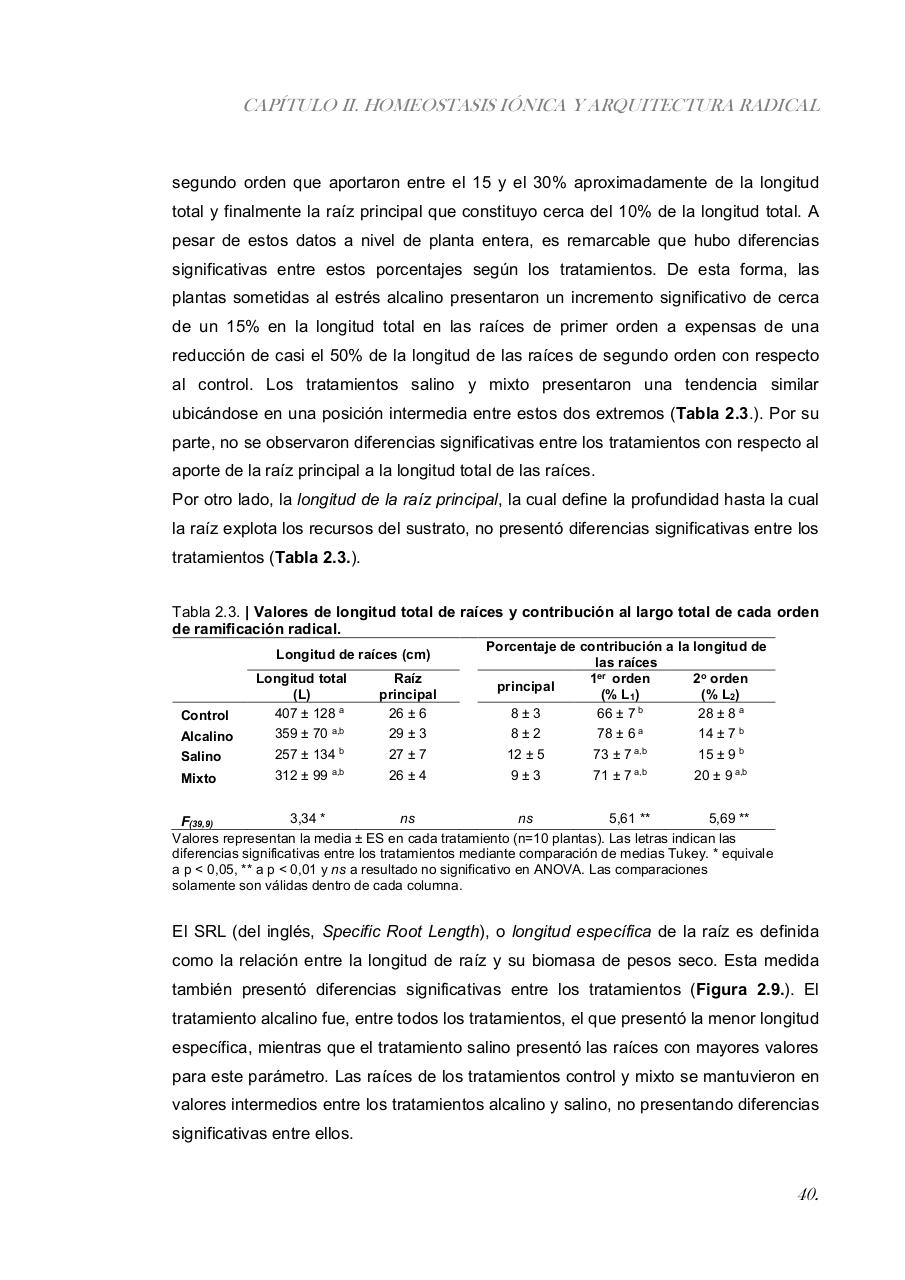 Vista previa del archivo PDF paz-rosalia---tesis-doctoral.pdf