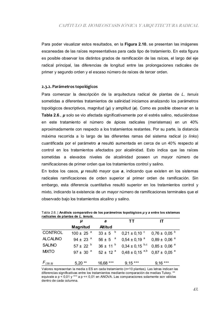 Vista previa del archivo PDF paz-rosalia---tesis-doctoral.pdf