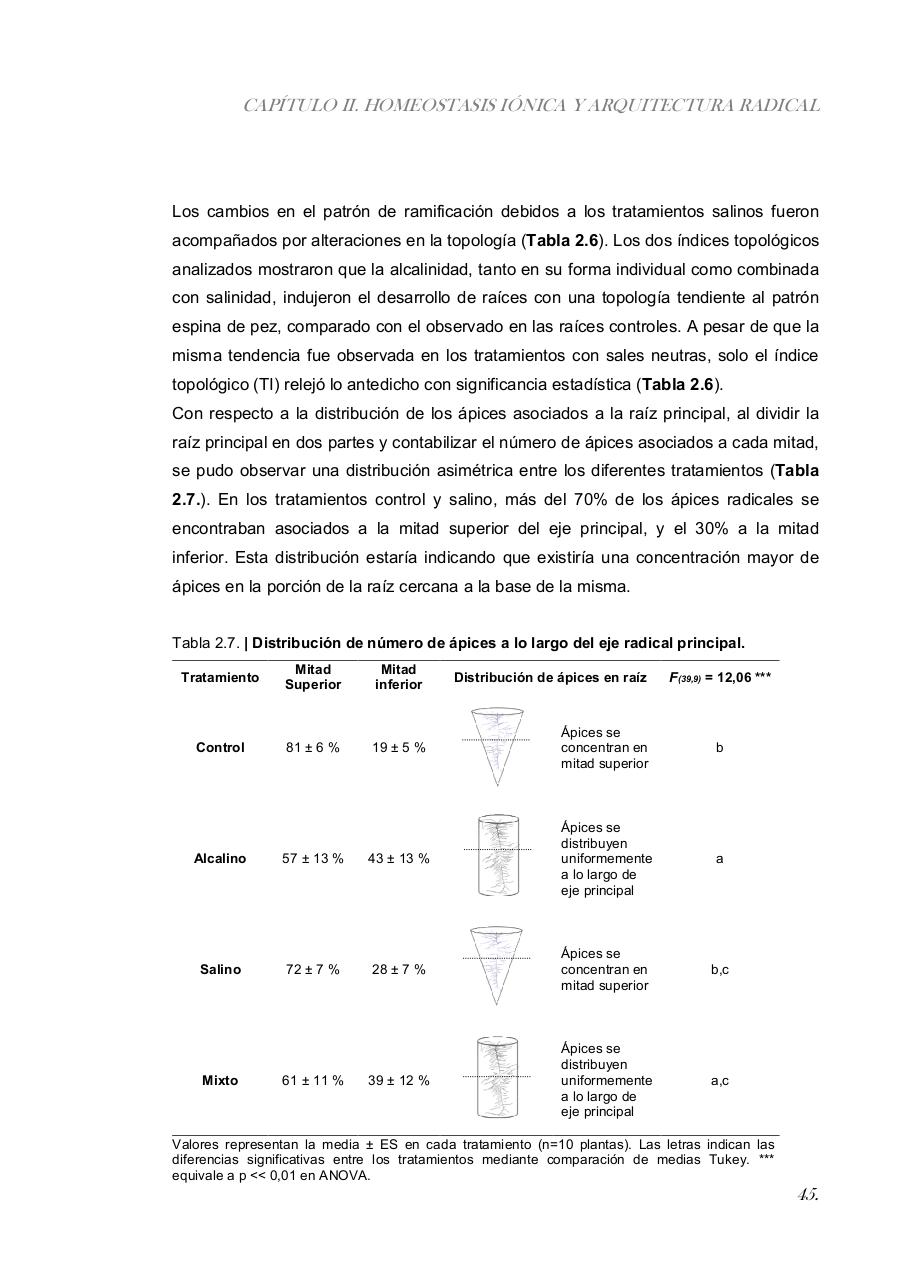 Vista previa del archivo PDF paz-rosalia---tesis-doctoral.pdf