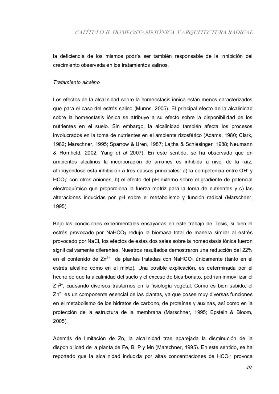 Vista previa del archivo PDF paz-rosalia---tesis-doctoral.pdf