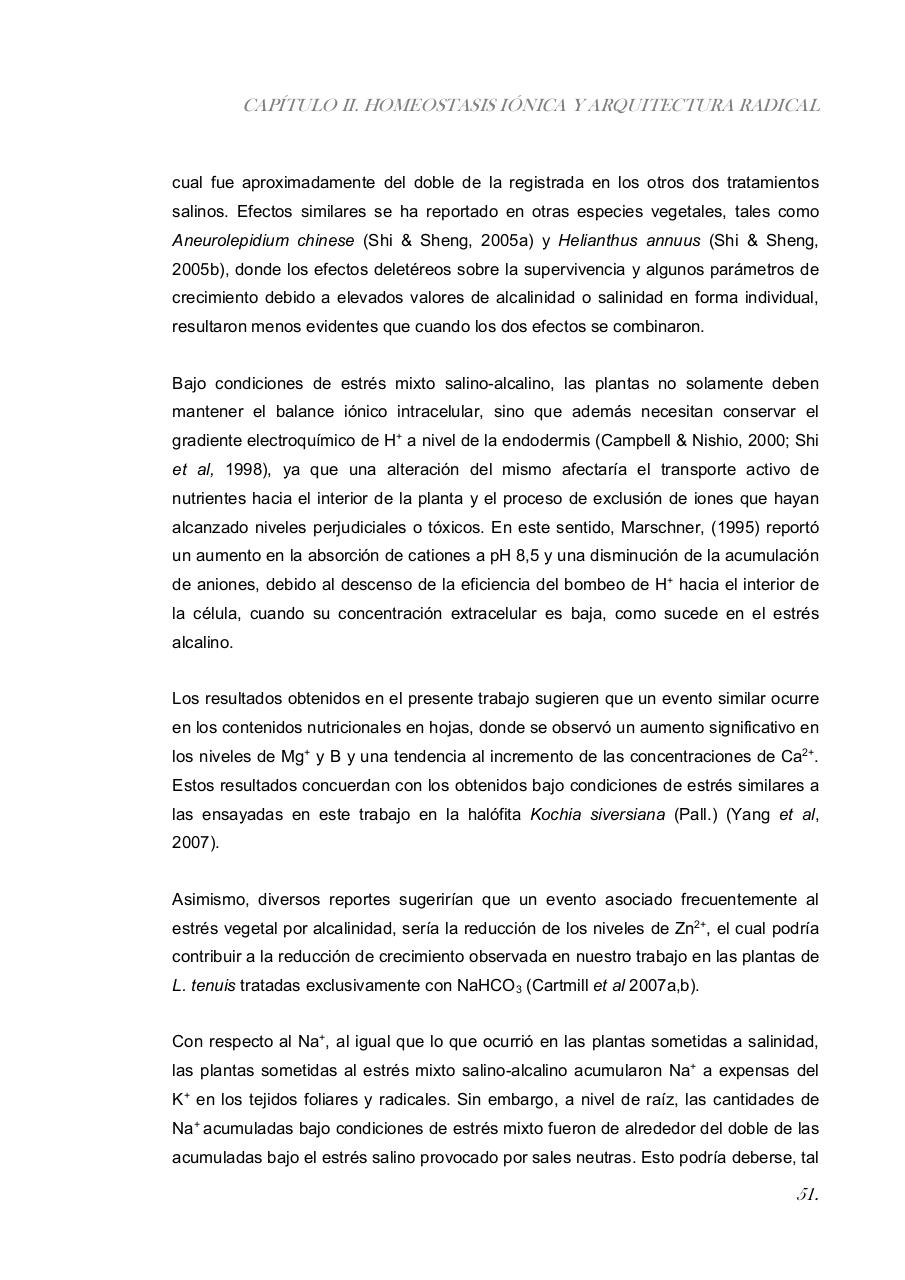 Vista previa del archivo PDF paz-rosalia---tesis-doctoral.pdf