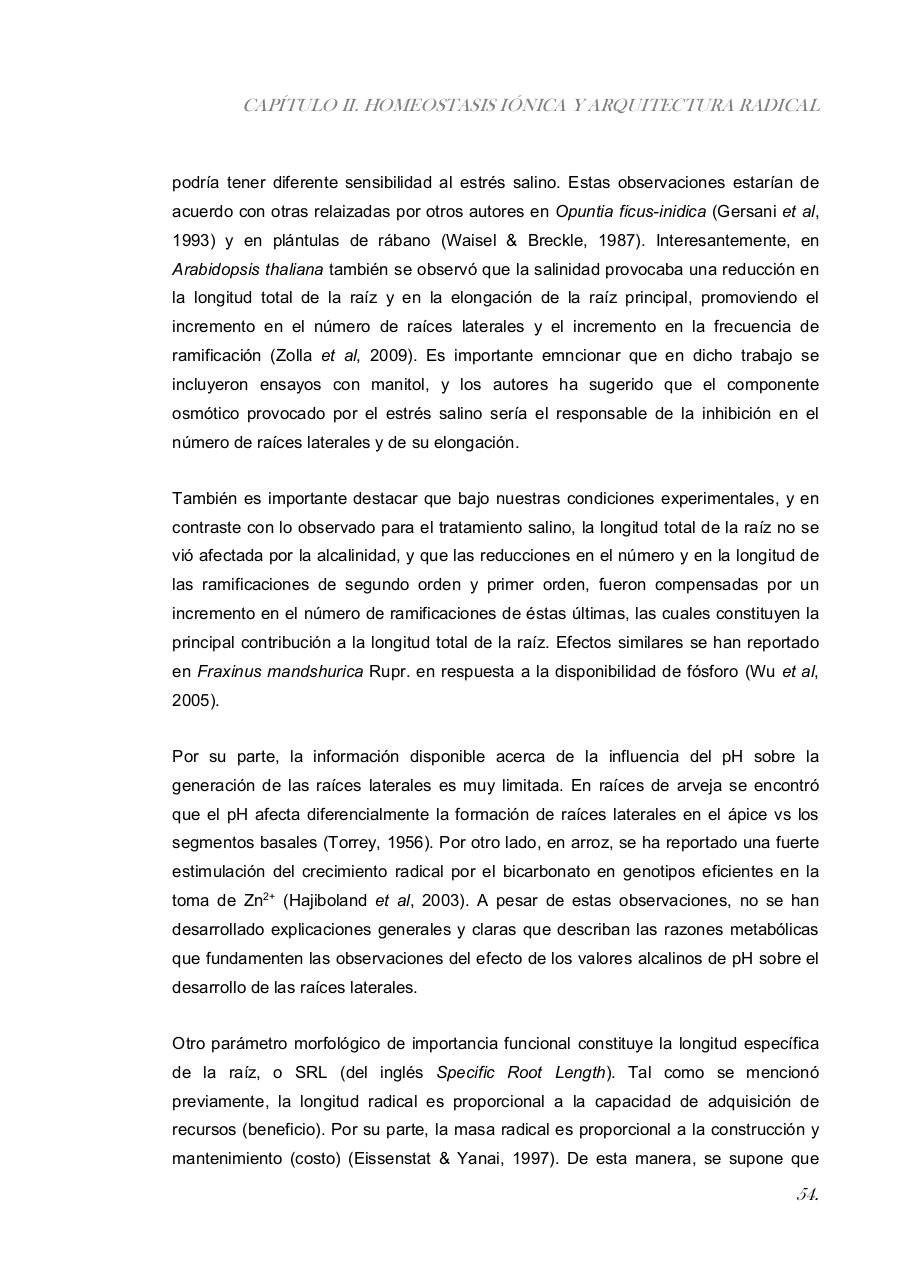 Vista previa del archivo PDF paz-rosalia---tesis-doctoral.pdf