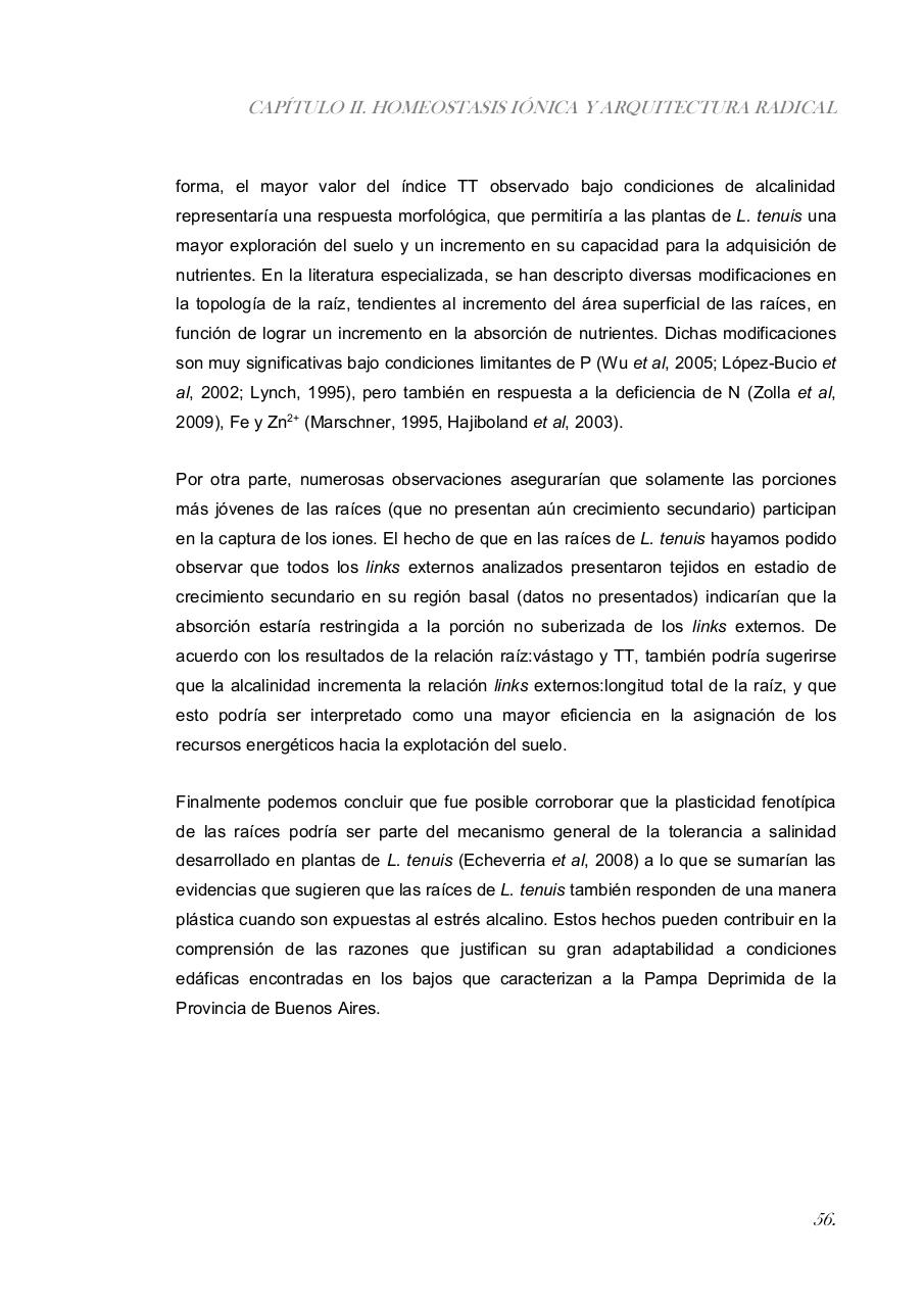 Vista previa del archivo PDF paz-rosalia---tesis-doctoral.pdf