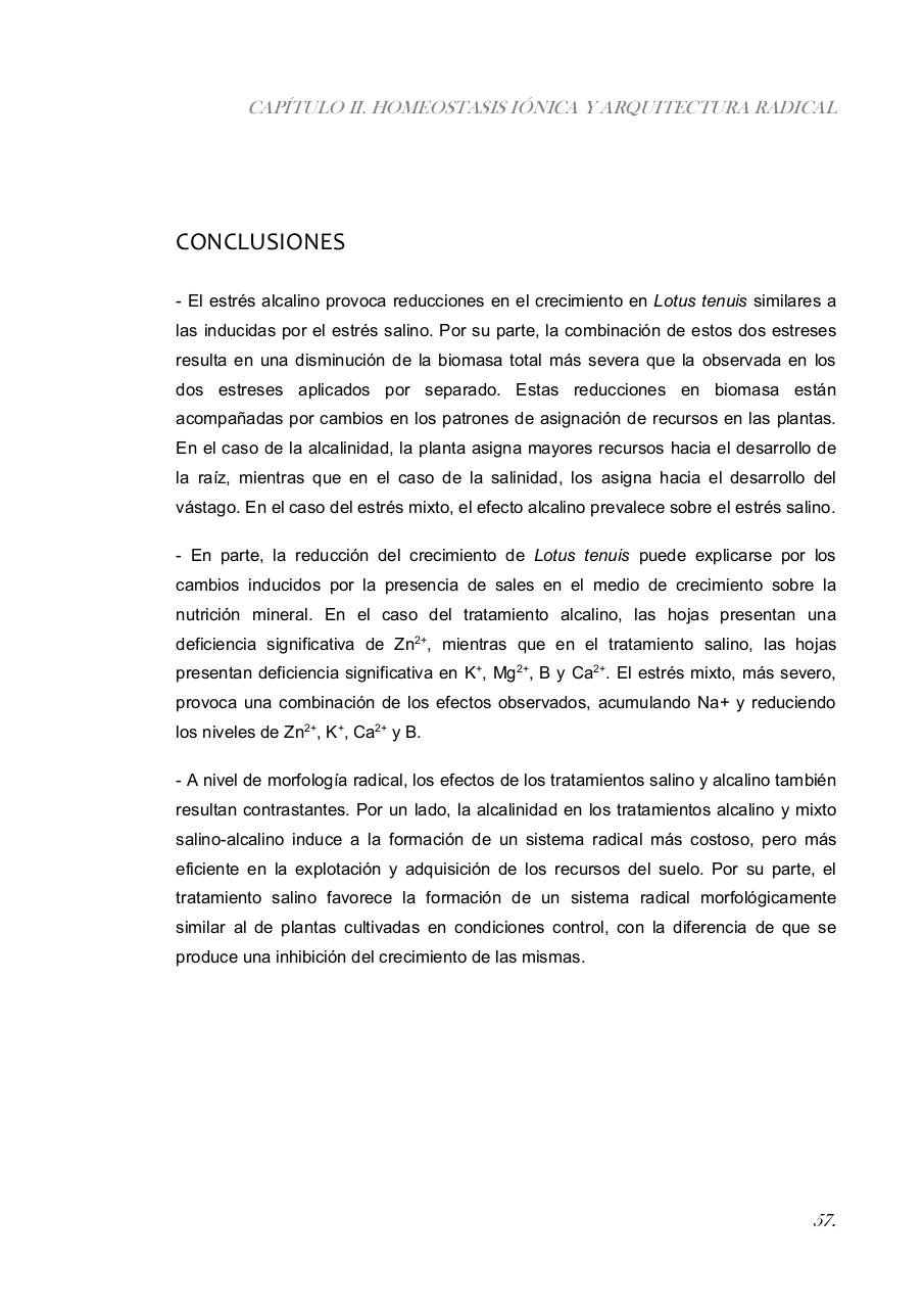 Vista previa del archivo PDF paz-rosalia---tesis-doctoral.pdf