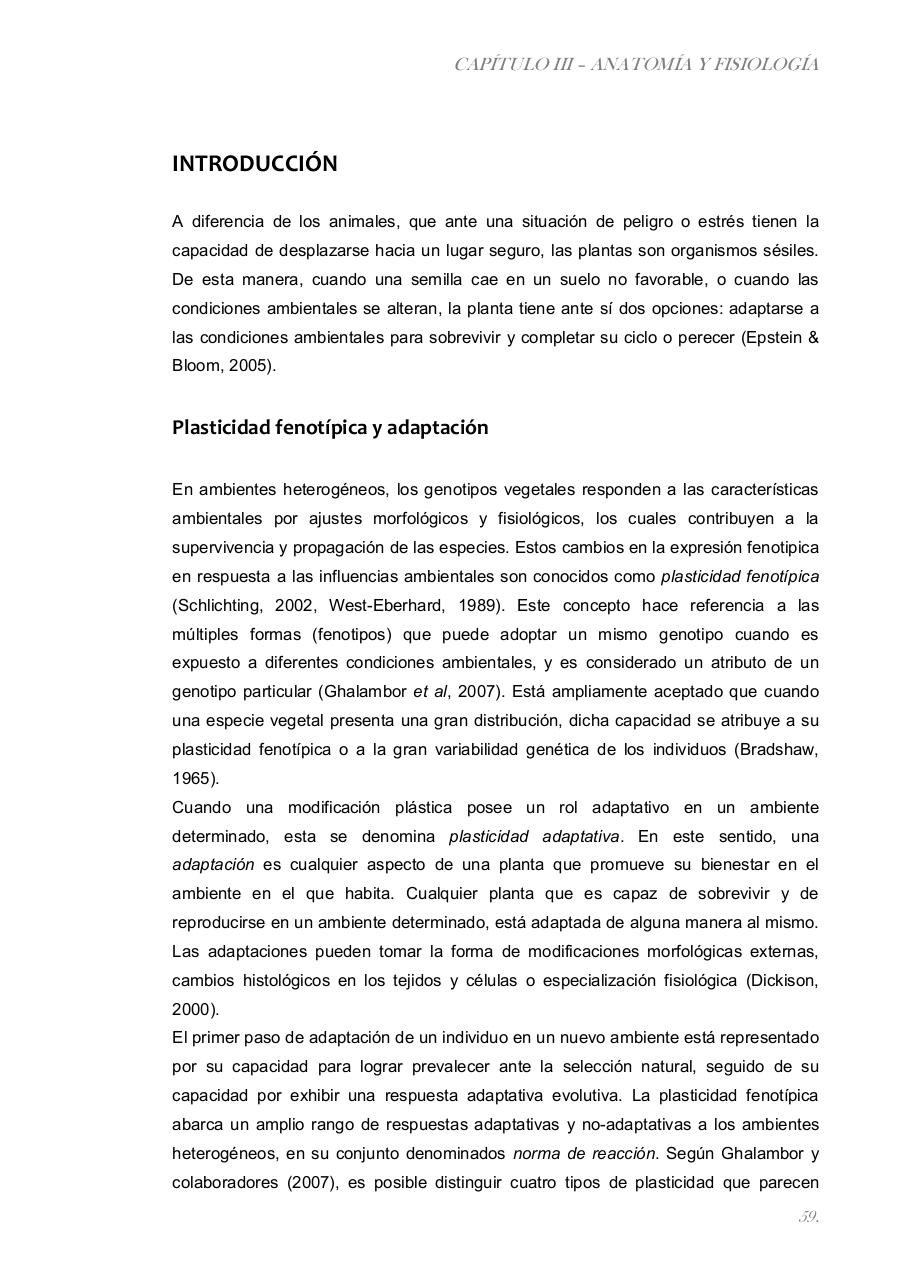 Vista previa del archivo PDF paz-rosalia---tesis-doctoral.pdf