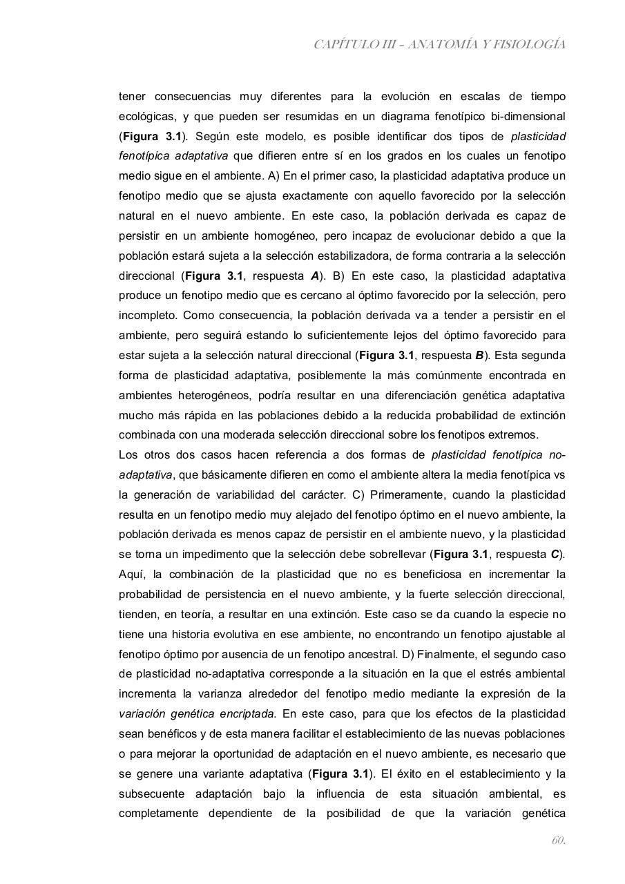 Vista previa del archivo PDF paz-rosalia---tesis-doctoral.pdf