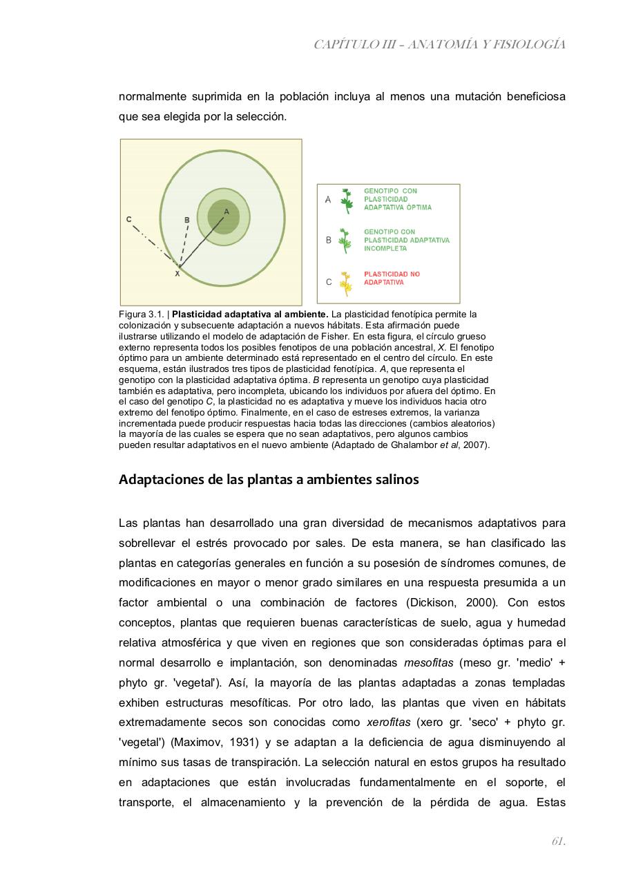 Vista previa del archivo PDF paz-rosalia---tesis-doctoral.pdf