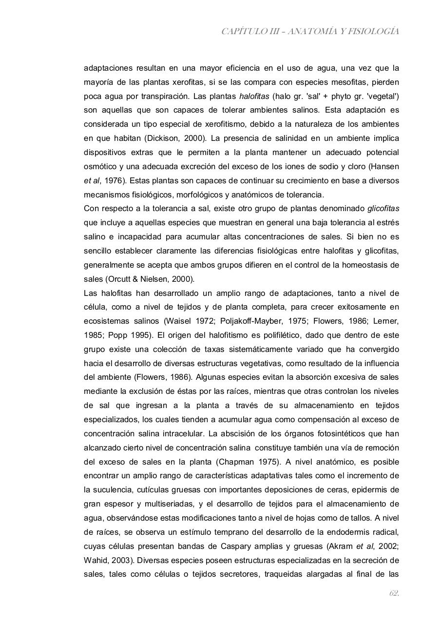 Vista previa del archivo PDF paz-rosalia---tesis-doctoral.pdf