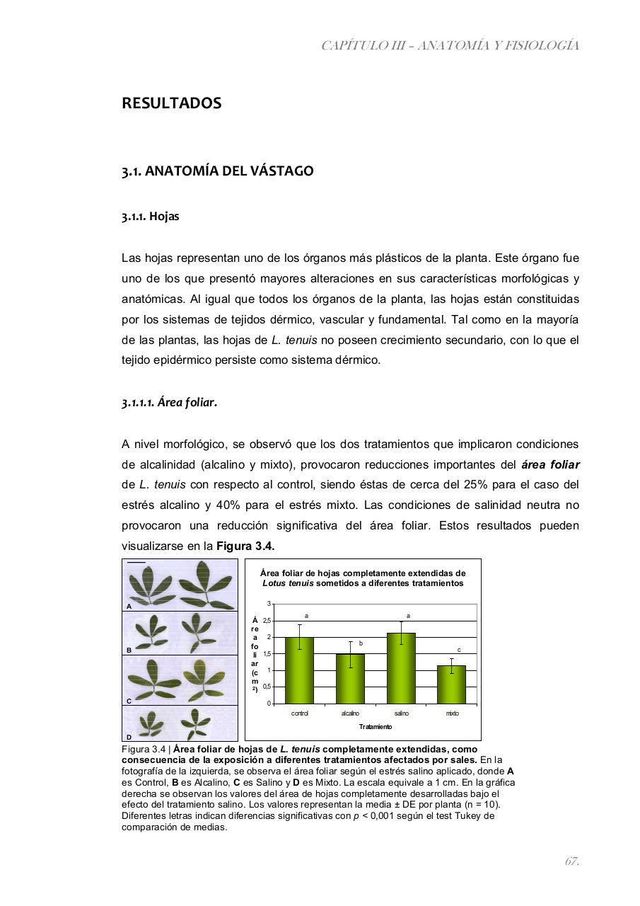 Vista previa del archivo PDF paz-rosalia---tesis-doctoral.pdf