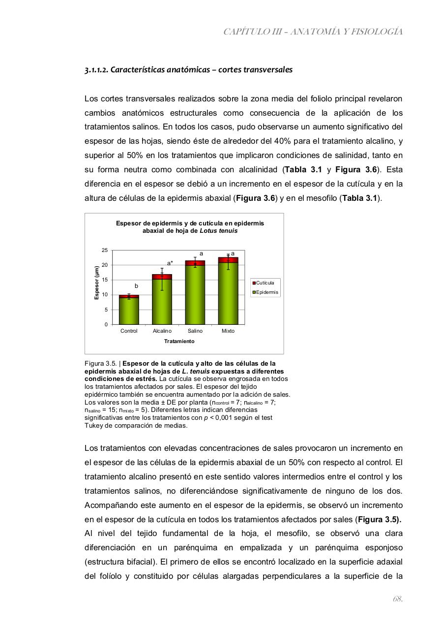 Vista previa del archivo PDF paz-rosalia---tesis-doctoral.pdf
