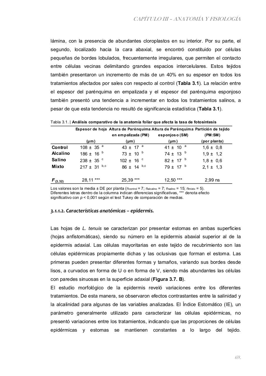 Vista previa del archivo PDF paz-rosalia---tesis-doctoral.pdf