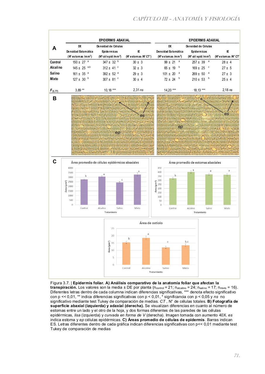 Vista previa del archivo PDF paz-rosalia---tesis-doctoral.pdf