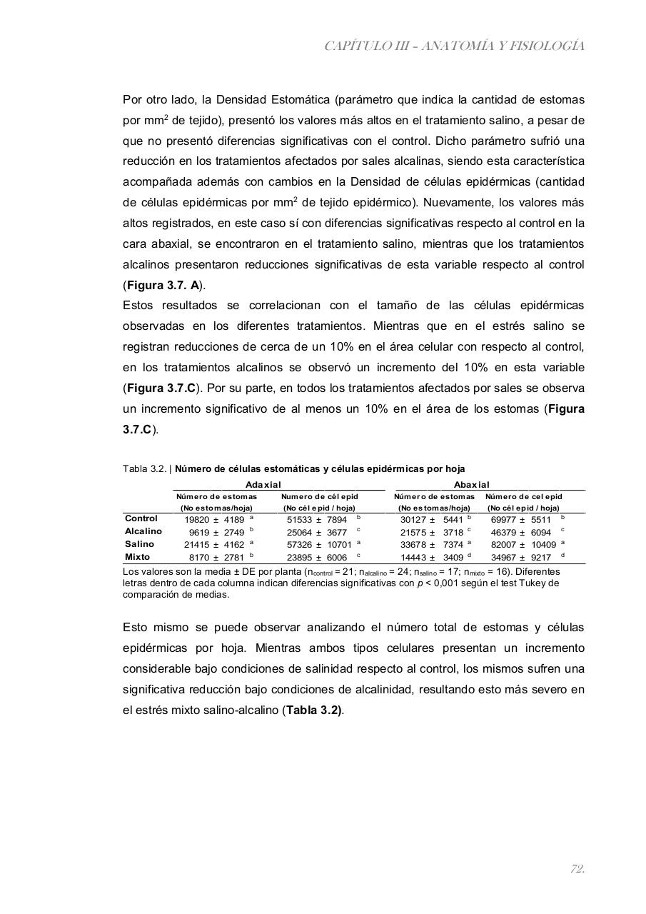 Vista previa del archivo PDF paz-rosalia---tesis-doctoral.pdf