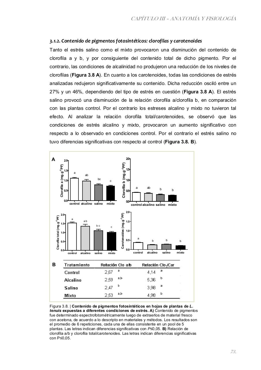 Vista previa del archivo PDF paz-rosalia---tesis-doctoral.pdf