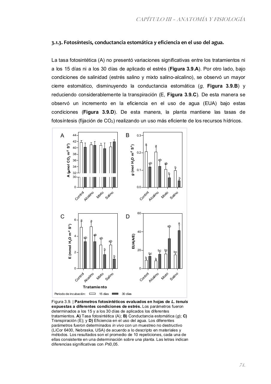 Vista previa del archivo PDF paz-rosalia---tesis-doctoral.pdf