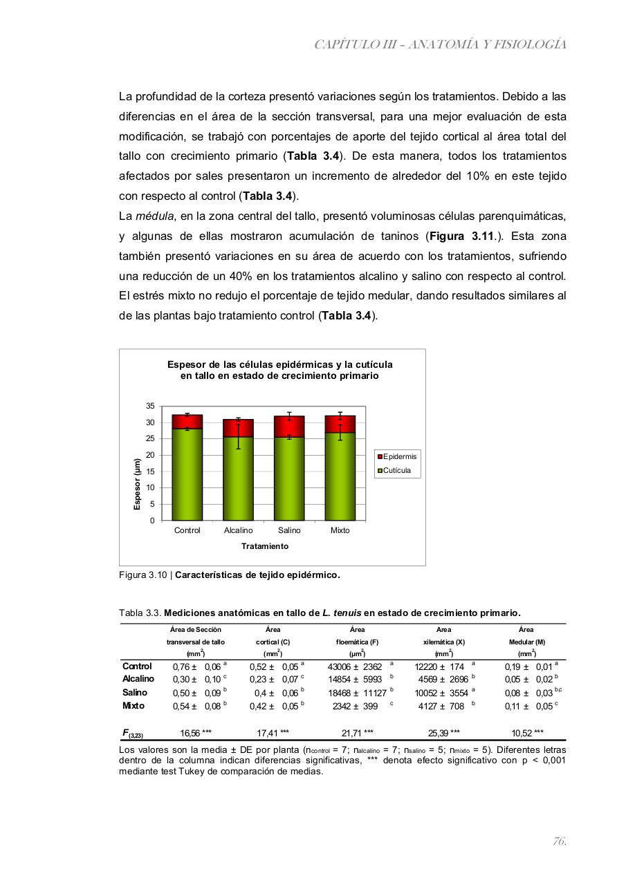 Vista previa del archivo PDF paz-rosalia---tesis-doctoral.pdf