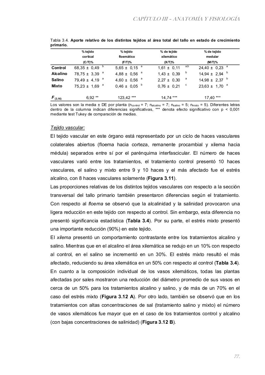 Vista previa del archivo PDF paz-rosalia---tesis-doctoral.pdf